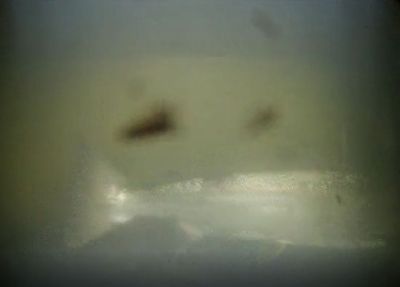 bild_400x.jpg