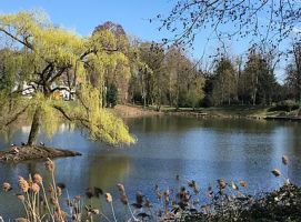 verbandsgewässer ostpark weiher